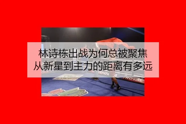 林诗栋出战为何总被聚焦 从新星到主力的距离有多远